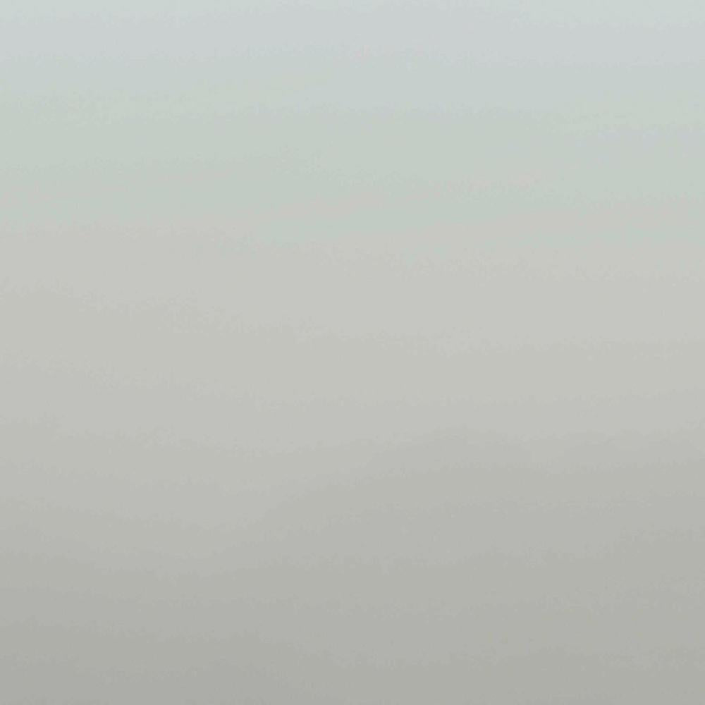 Lone Tree in a Foggy Landscape (Hollow)-by-Andrew Paranavitana-wall-art-print-canvas-poster-framed-Gioia