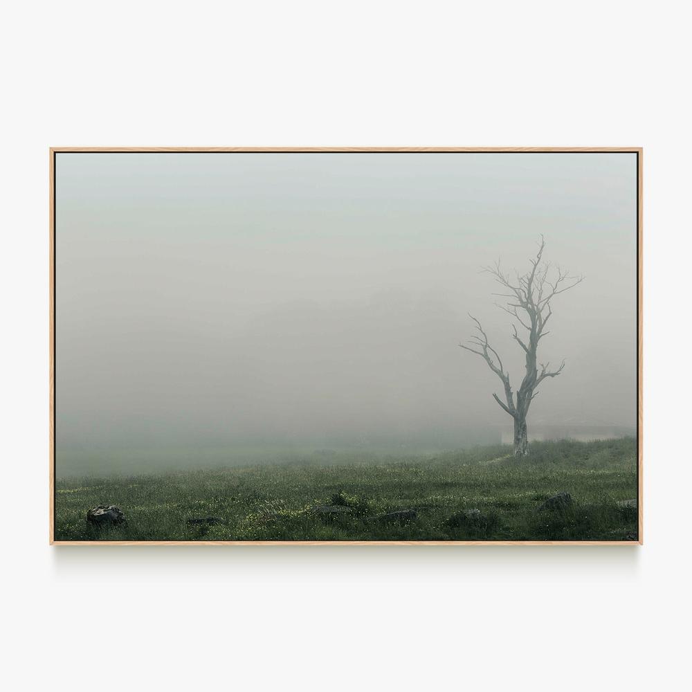 Lone Tree in a Foggy Landscape (Hollow)-by-Andrew Paranavitana-wall-art-print-canvas-poster-framed-Gioia