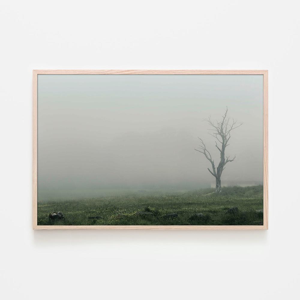Lone Tree in a Foggy Landscape (Hollow)-by-Andrew Paranavitana-wall-art-print-canvas-poster-framed-Gioia