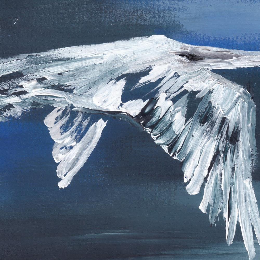 Migration-by-Lisa Schmidt-wall-art-print-canvas-poster-framed-Gioia