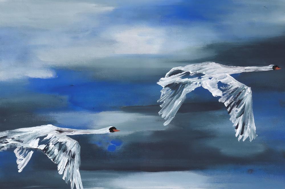Migration-by-Lisa Schmidt-wall-art-print-canvas-poster-framed-Gioia