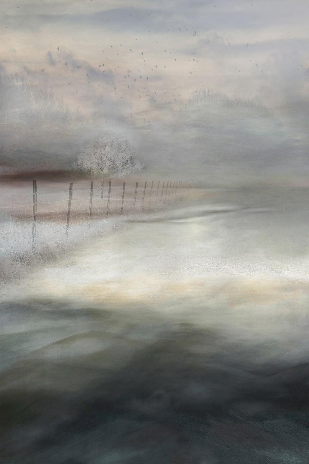 Misty Winter Landscape-by-Christina Sillen-wall-art-print-canvas-poster-framed-Gioia