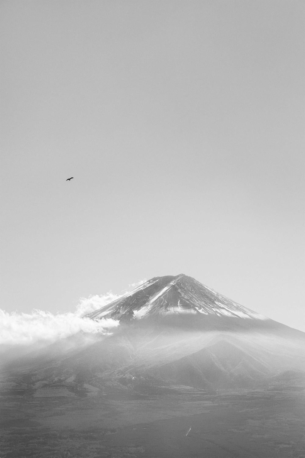 Mt Fuji with an Eagle in Black and White (Soar)-by-Andrew Paranavitana-wall-art-print-canvas-poster-framed-Gioia