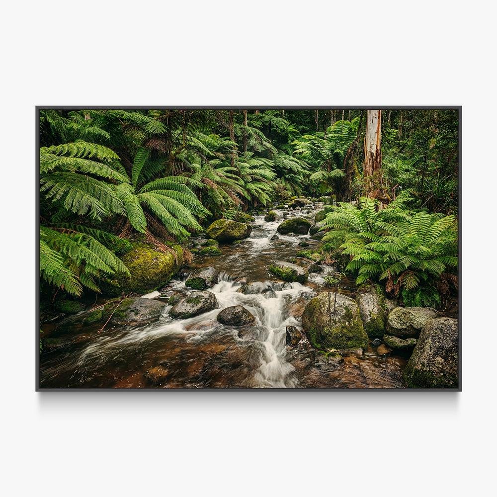 Noojee River-by-Andrew Paranavitana-wall-art-print-canvas-poster-framed-Gioia