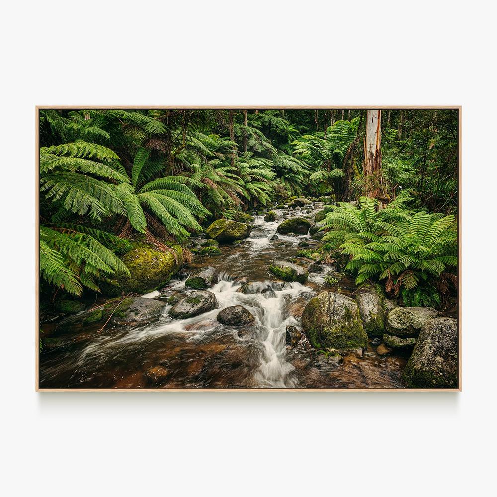Noojee River-by-Andrew Paranavitana-wall-art-print-canvas-poster-framed-Gioia
