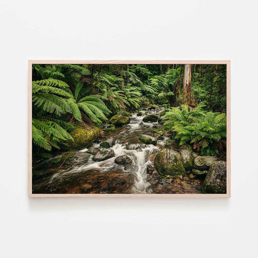 Noojee River-by-Andrew Paranavitana-wall-art-print-canvas-poster-framed-Gioia