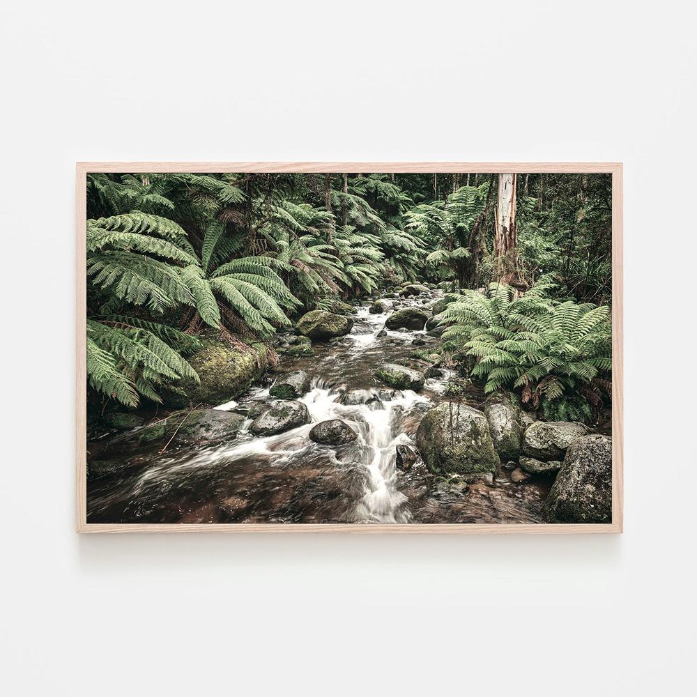 Noojee River, Style B-by-Andrew Paranavitana-wall-art-print-canvas-poster-framed-Gioia