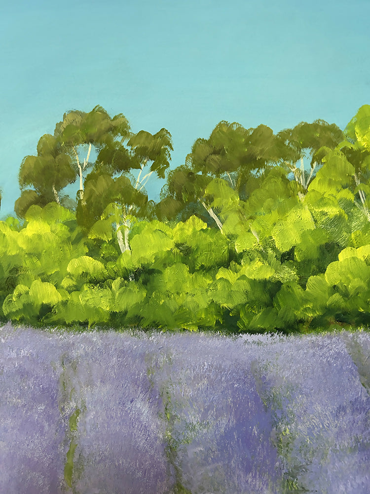 Lavandula II