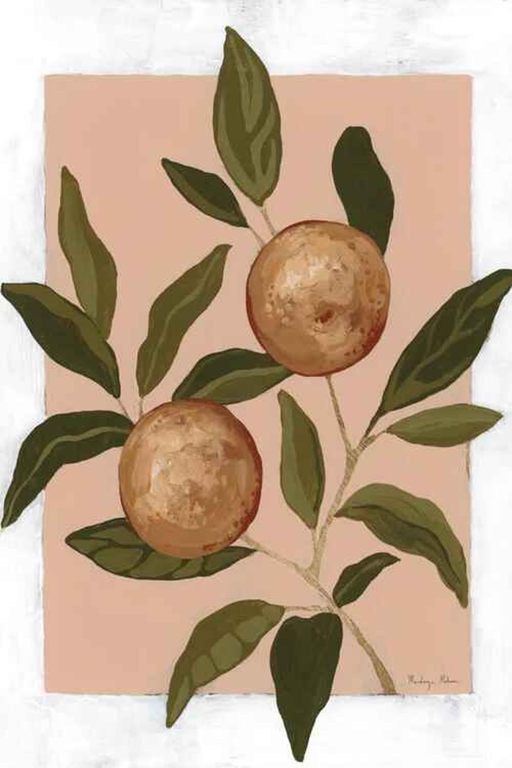 Orange Study, Style A & B, Set Of 2-by-Mackenzie Nelson-wall-art-print-canvas-poster-framed-Gioia