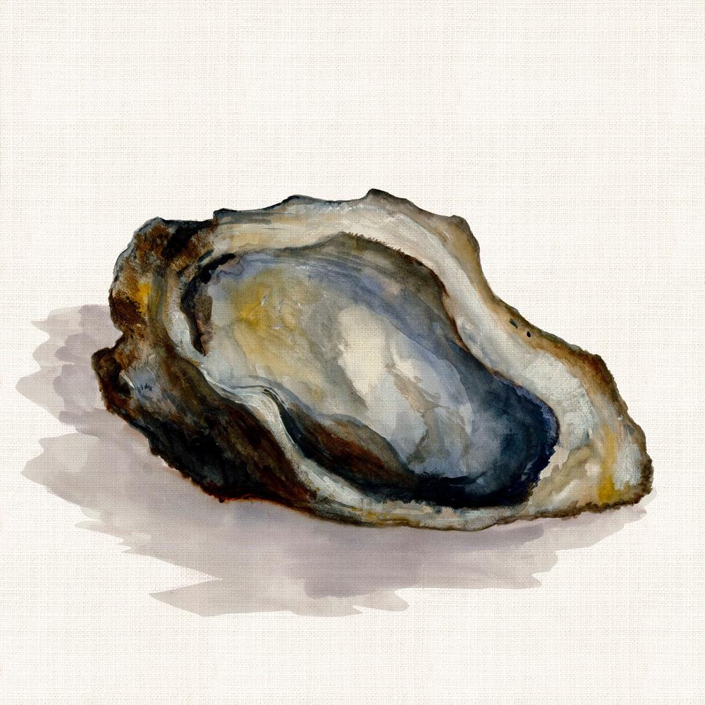 Oyster-by-Jacob Q-wall-art-print-canvas-poster-framed-Gioia