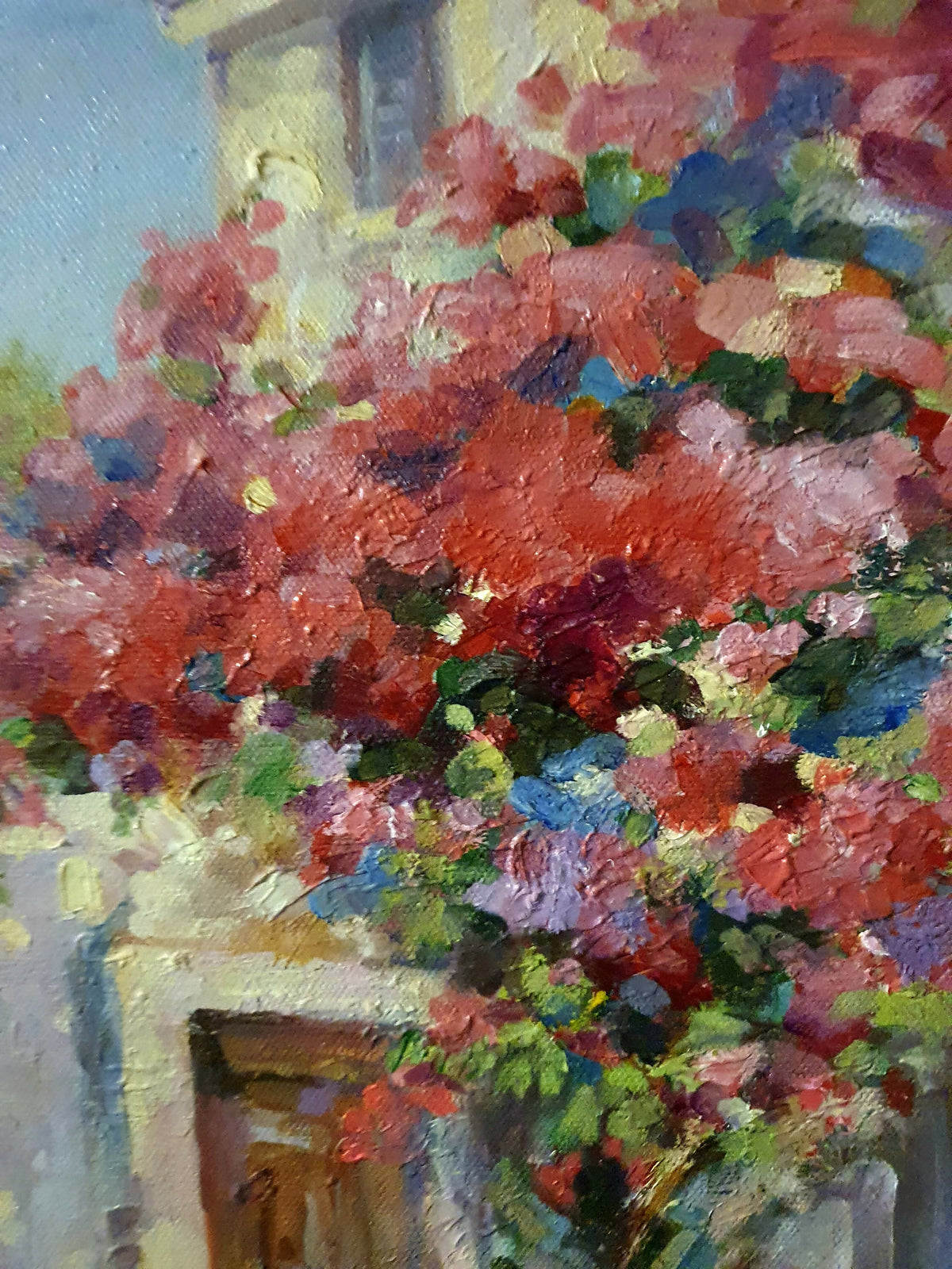 Under the Bougainvillea