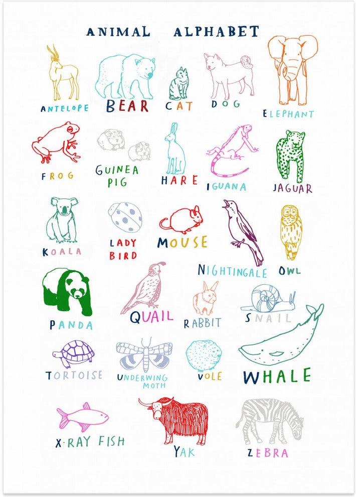 Animal Alphabet By Hanna Melin,Wall Art Canvas Print, Poster,Range