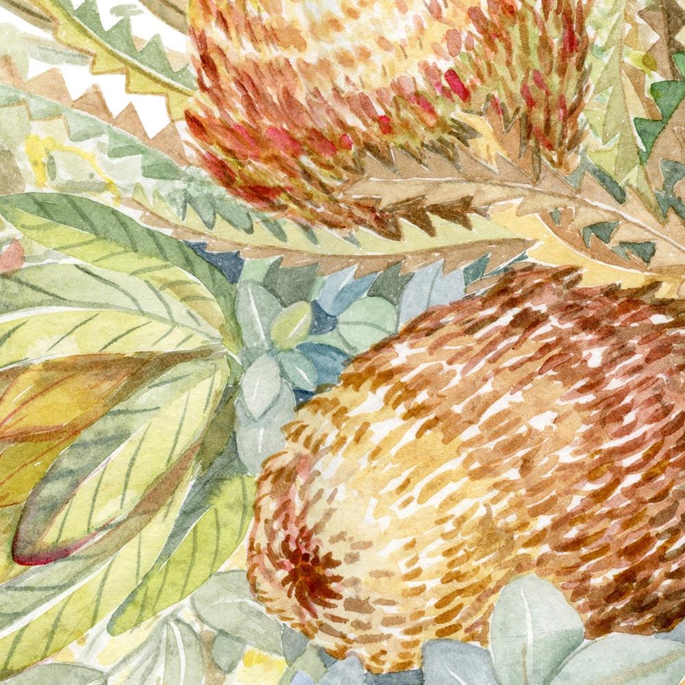 Protea & Banksia - Neutral Tones-by-Jessie Mitchelson-wall-art-print-canvas-poster-framed-Gioia