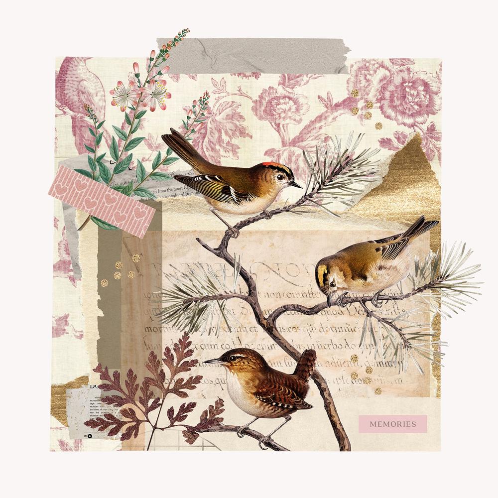 wall-art-print-canvas-poster-framed-Rustic Bird Collage-1