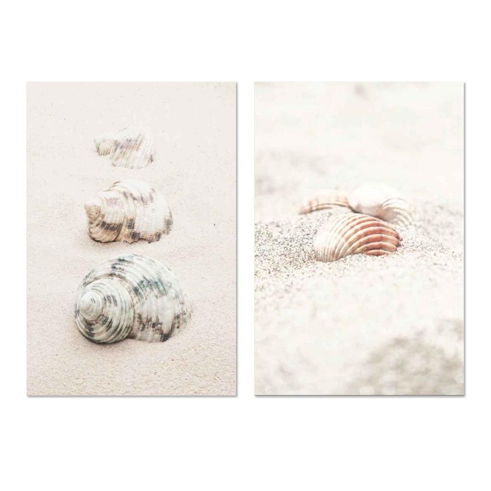 Shells & Shells By The Beach, Set Of 2-by-Plus X Studio-wall-art-print-canvas-poster-framed-Gioia