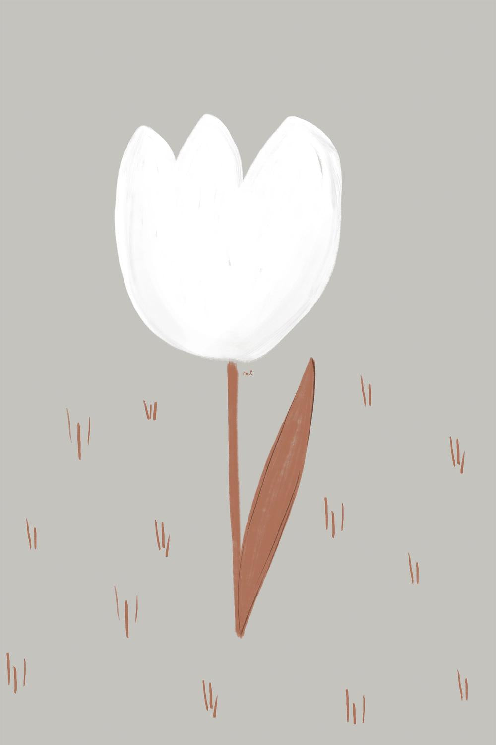 Soft White Tulip-by-Menina Lisboa-wall-art-print-canvas-poster-framed-Gioia