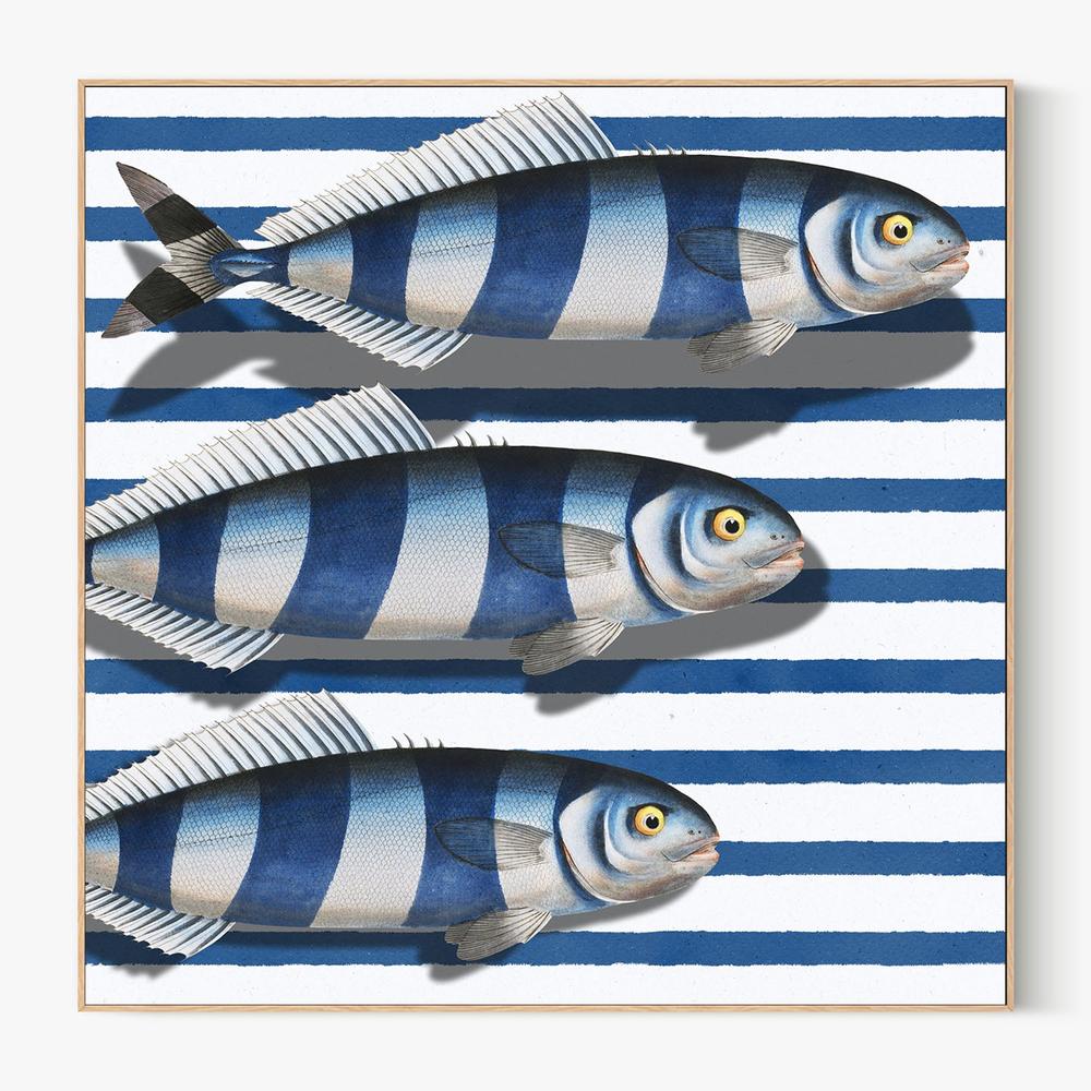 Striped Ocean Fish-by-Marja van den-wall-art-print-canvas-poster-framed-Gioia