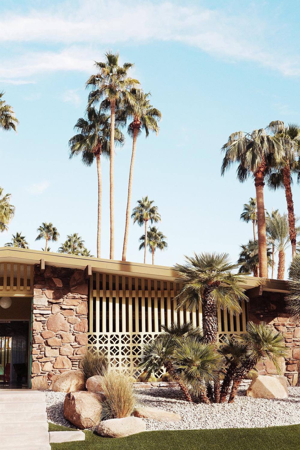 Summer Day At Palm Springs-by-Gal Pittel-wall-art-print-canvas-poster-framed-Gioia