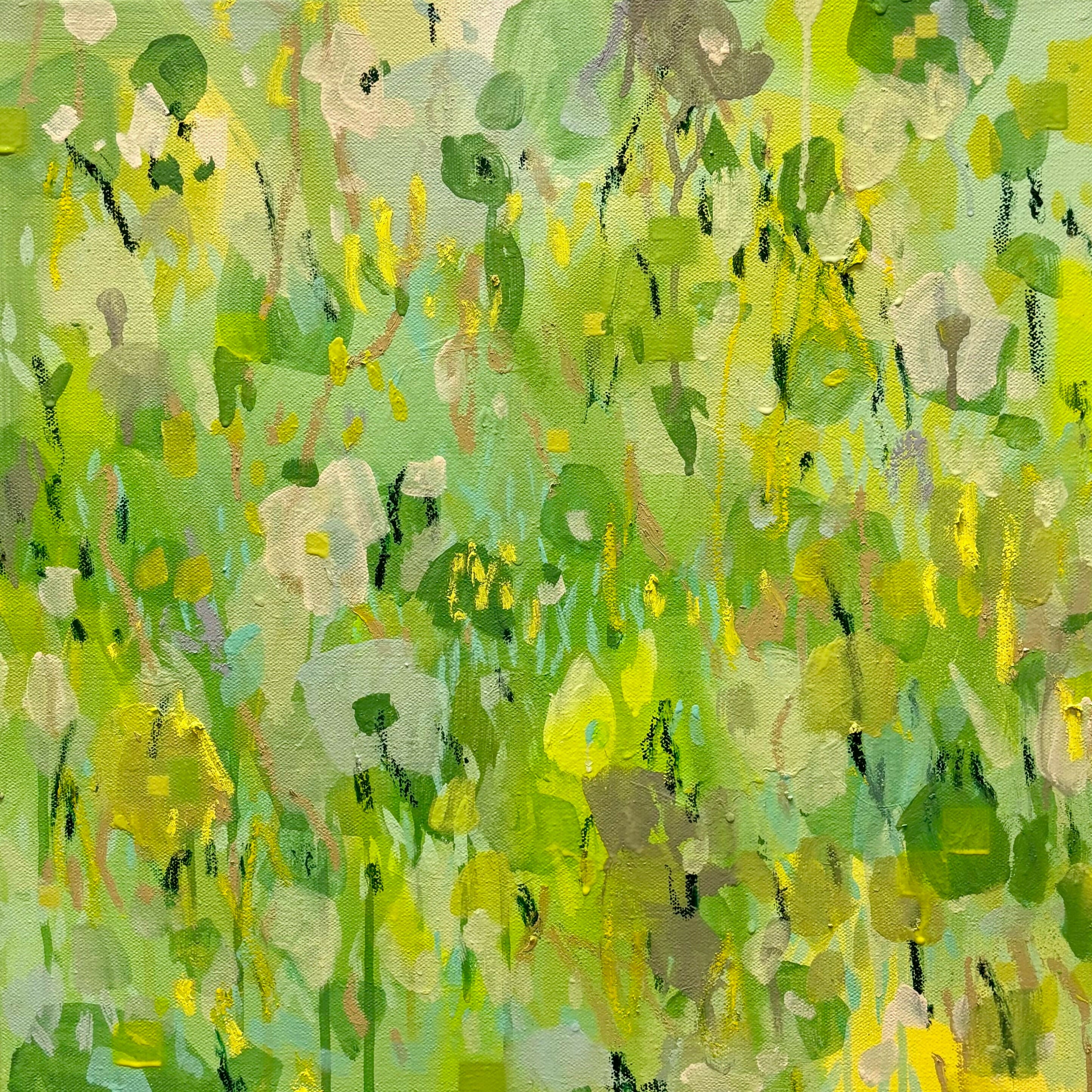 Field of Green 1