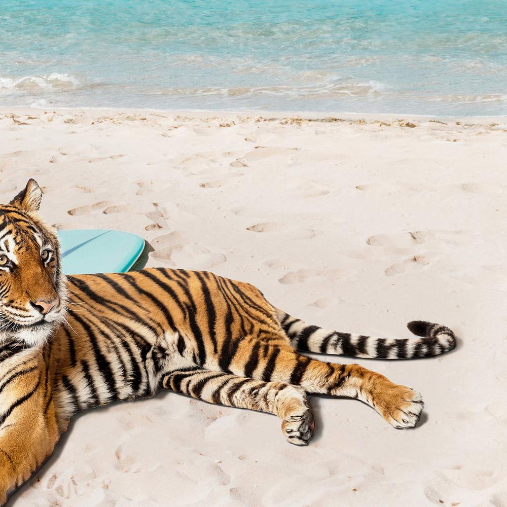 Tiger's Surf Beach-by-Gal Pittel-wall-art-print-canvas-poster-framed-Gioia
