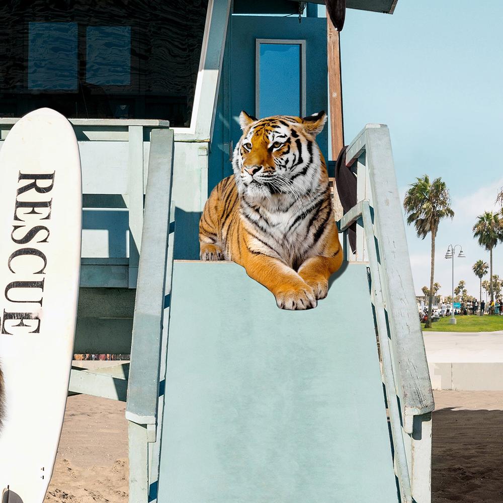 Tigers To The Rescue-by-Gal Pittel-wall-art-print-canvas-poster-framed-Gioia