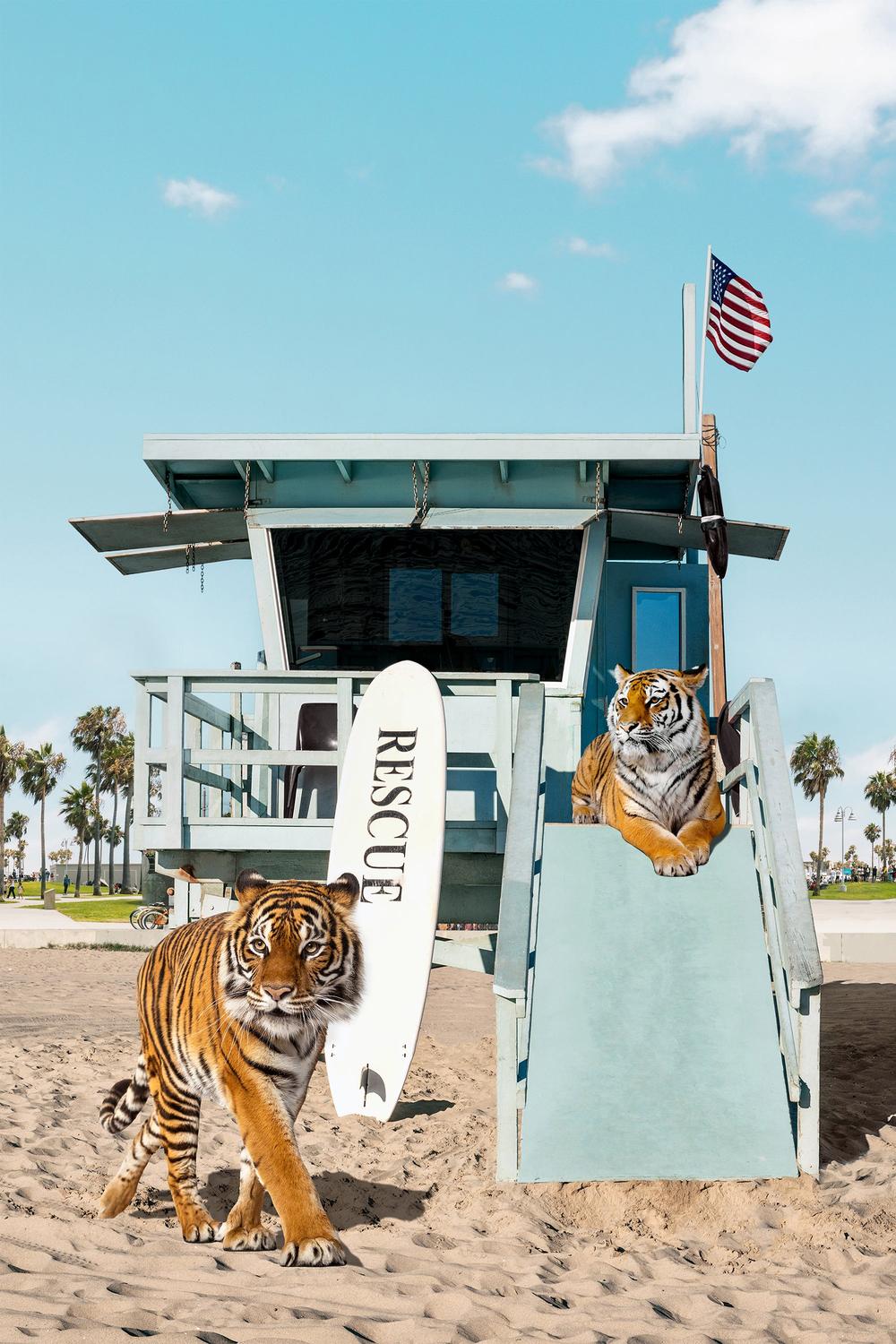 Tigers To The Rescue-by-Gal Pittel-wall-art-print-canvas-poster-framed-Gioia