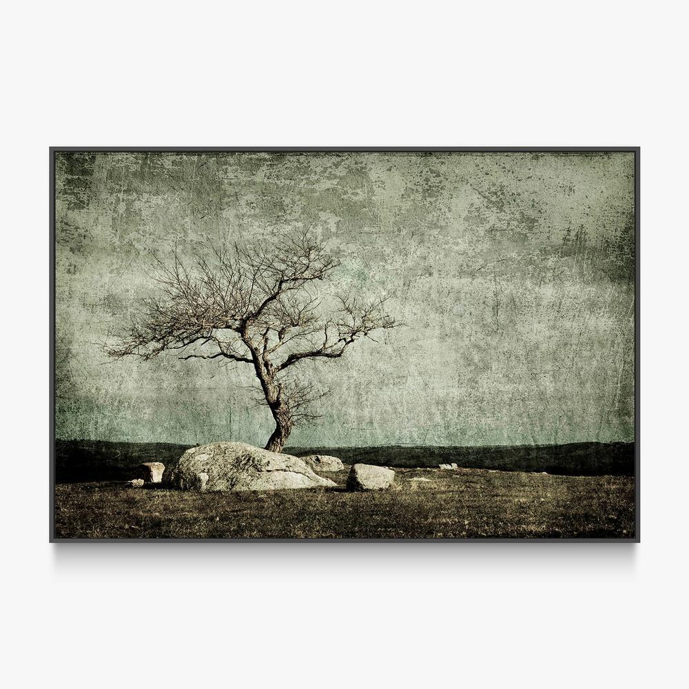Twisted Elegance-by-Andrew Paranavitana-wall-art-print-canvas-poster-framed-Gioia