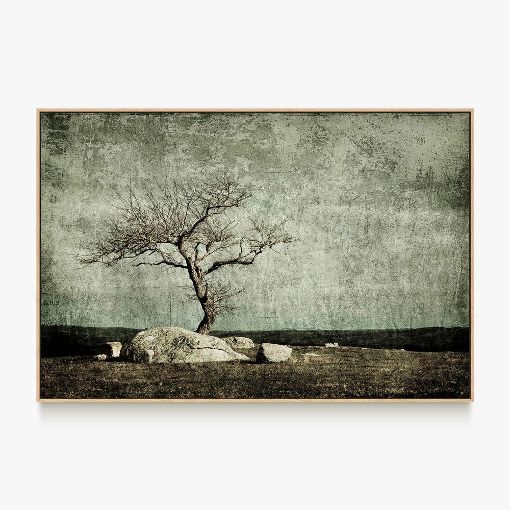 Twisted Elegance-by-Andrew Paranavitana-wall-art-print-canvas-poster-framed-Gioia
