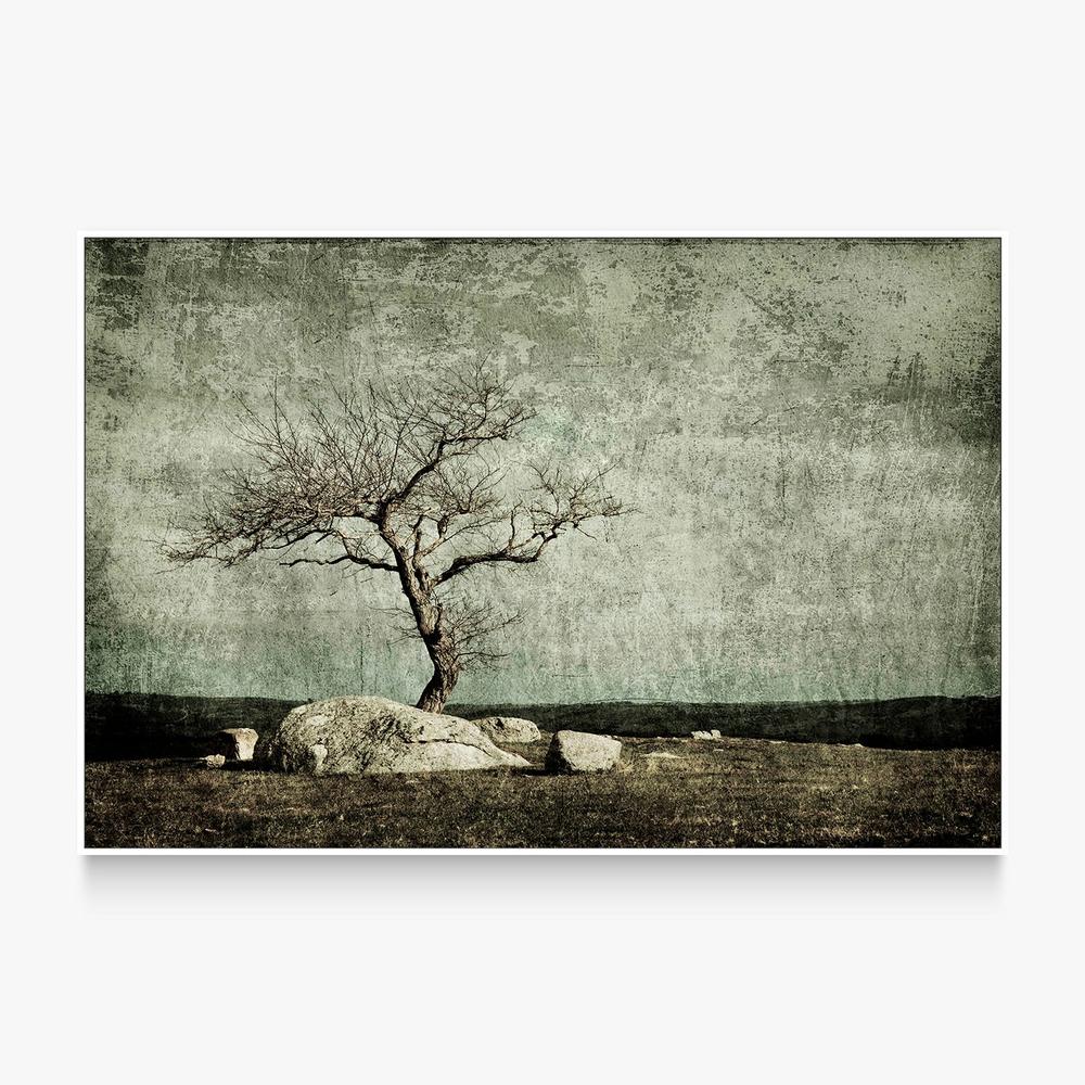 Twisted Elegance-by-Andrew Paranavitana-wall-art-print-canvas-poster-framed-Gioia