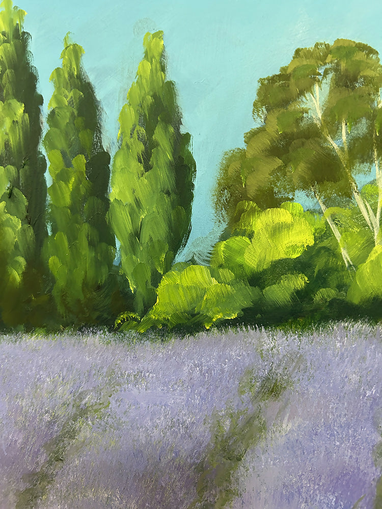 Lavandula II