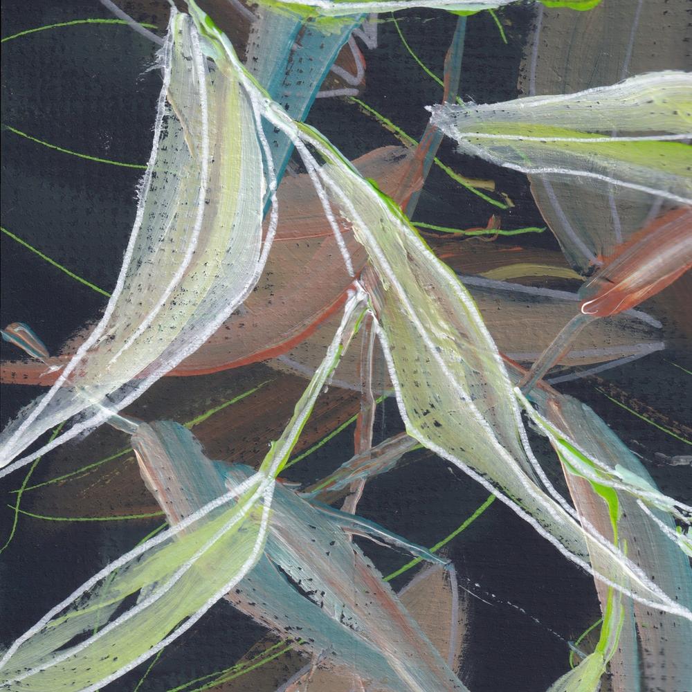 Undergrowth A-by-Lisa Schmidt-wall-art-print-canvas-poster-framed-Gioia
