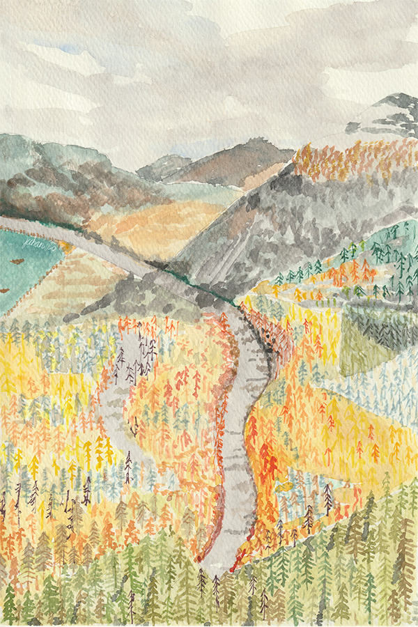 wall-art-print-canvas-poster-framed-A Pause in the Fall-1