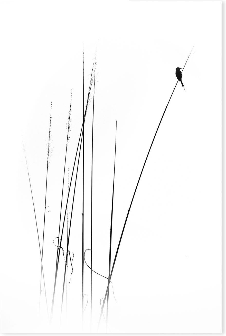 wall-art-print-canvas-poster-framed-A Sabbatical, by Swapnil-by-Plus X Studio-Gioia Wall Art