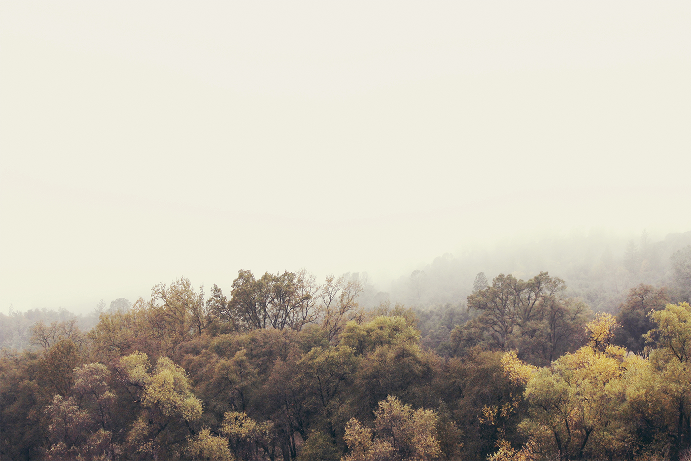 wall-art-print-canvas-poster-framed-Autumn Afternoons , By Hope Bainbridge-1