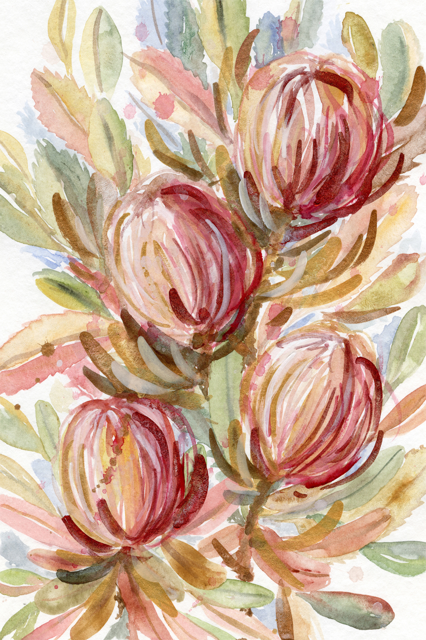 wall-art-print-canvas-poster-framed-Banksia Bunch , By Jessie Mitchelson-GIOIA-WALL-ART