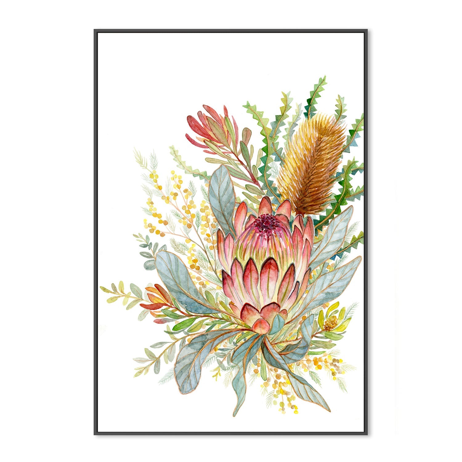 wall-art-print-canvas-poster-framed-Banksia & Leucadendron , By Jessie Mitchelson-3