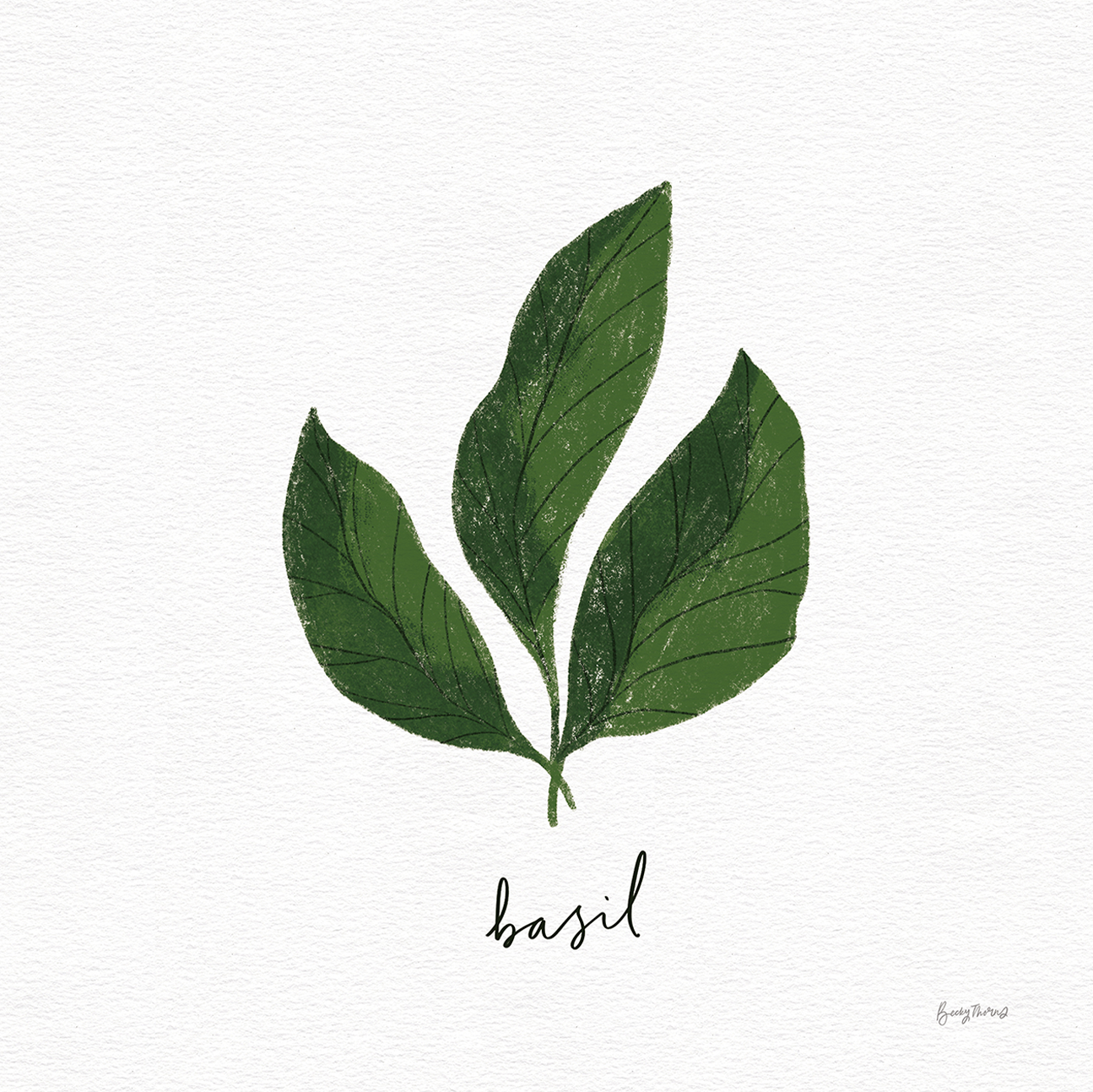 wall-art-print-canvas-poster-framed-Basil Herbs White, Style E , By Becky Thorns-1