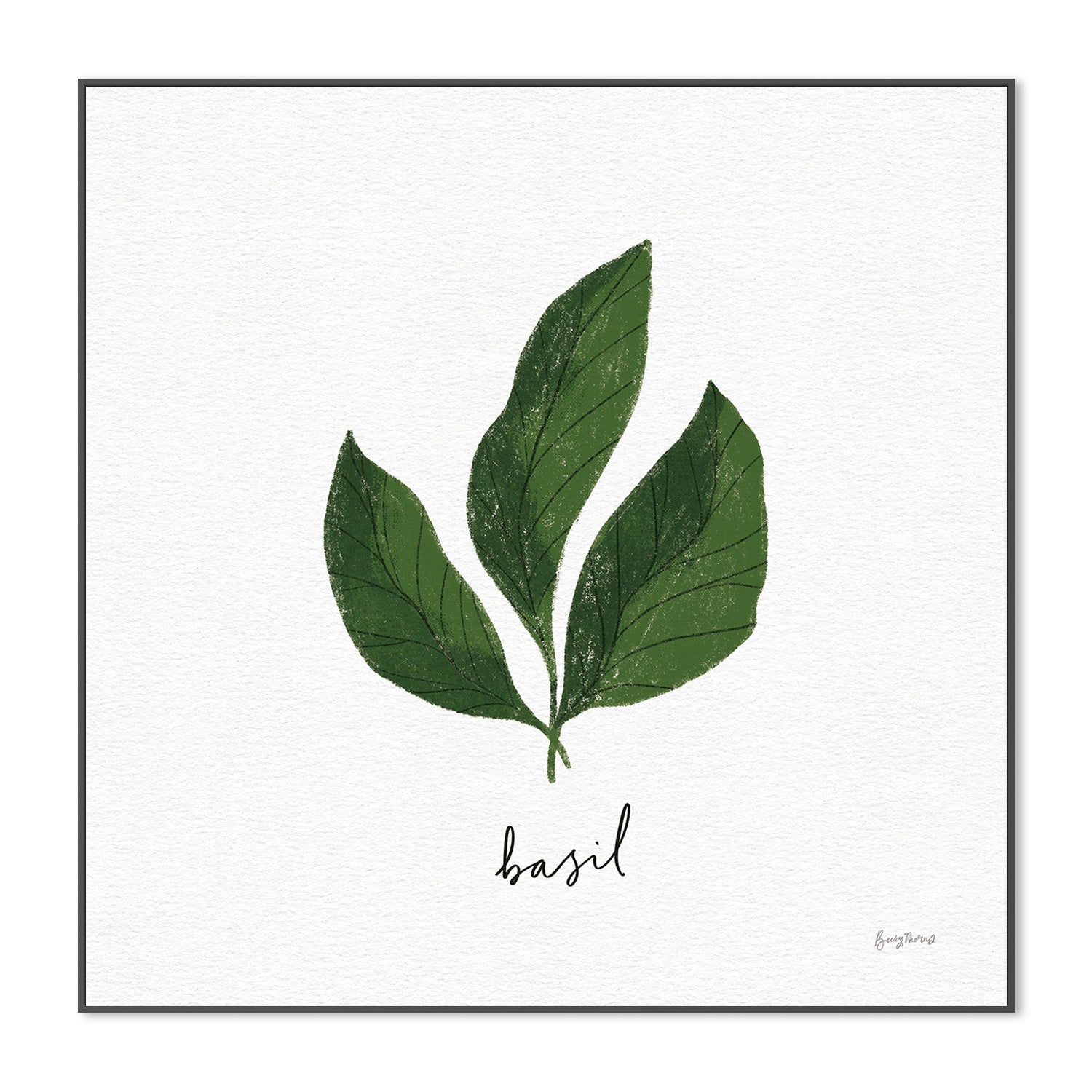wall-art-print-canvas-poster-framed-Basil Herbs White, Style E , By Becky Thorns-3