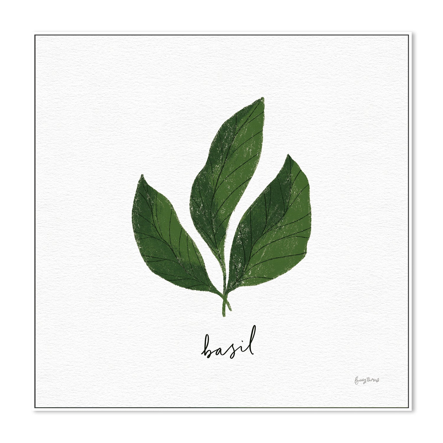 wall-art-print-canvas-poster-framed-Basil Herbs White, Style E , By Becky Thorns-5