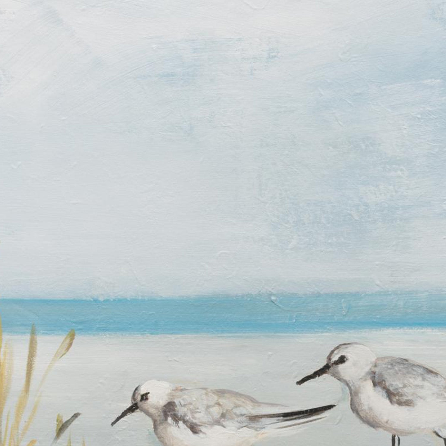 wall-art-print-canvas-poster-framed-Beach Birds, Style C-10