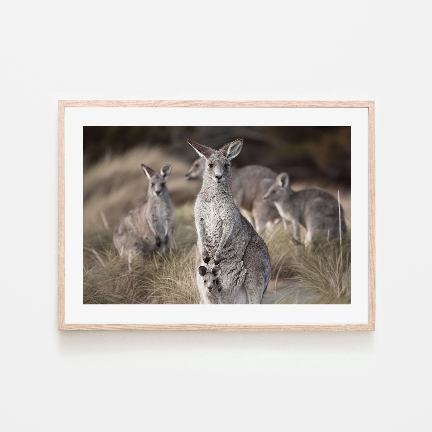 wall-art-print-canvas-poster-framed-Beach Roos , By Belinda Gerace-6