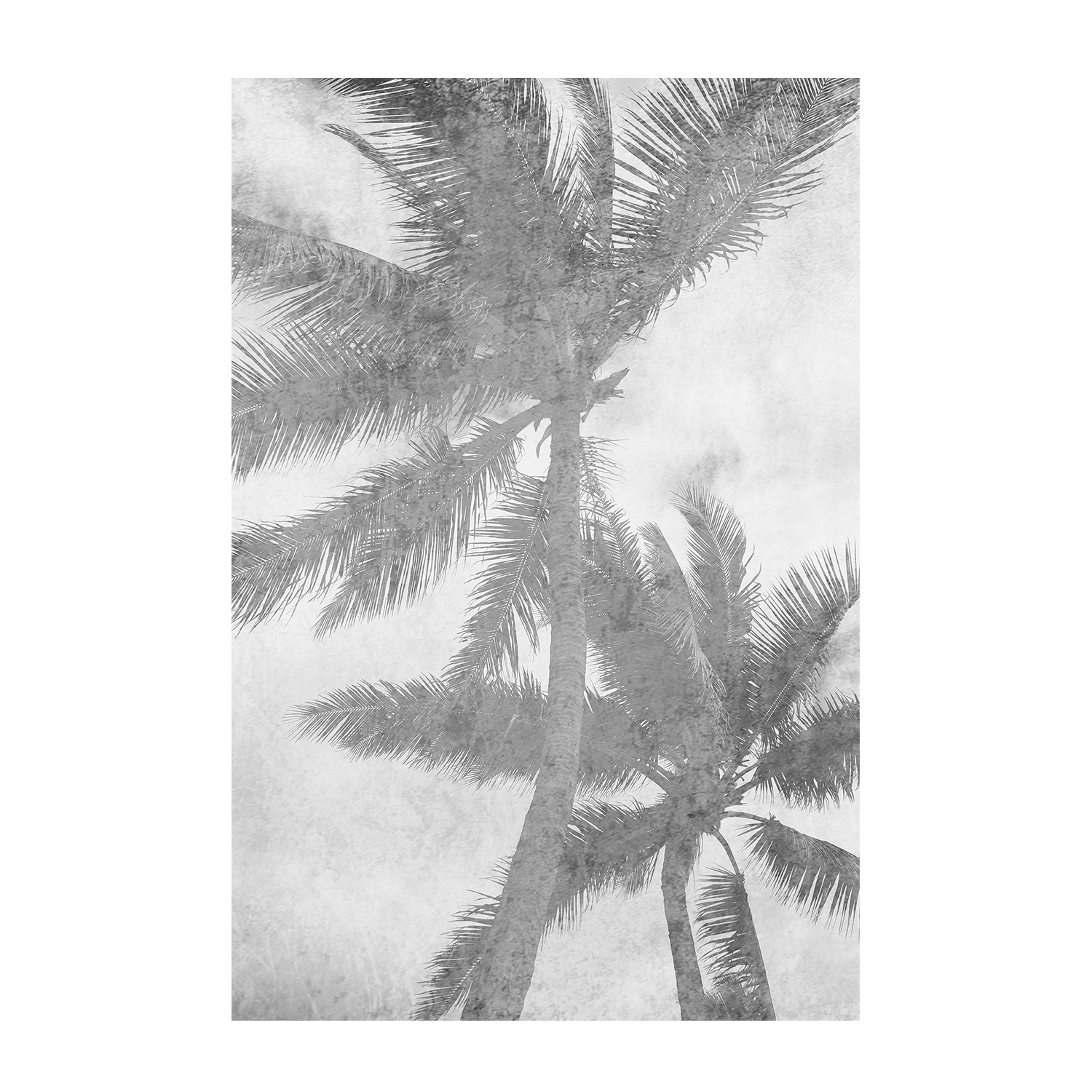 Beachscape Pink Palms, Style A & B, Set Of 2