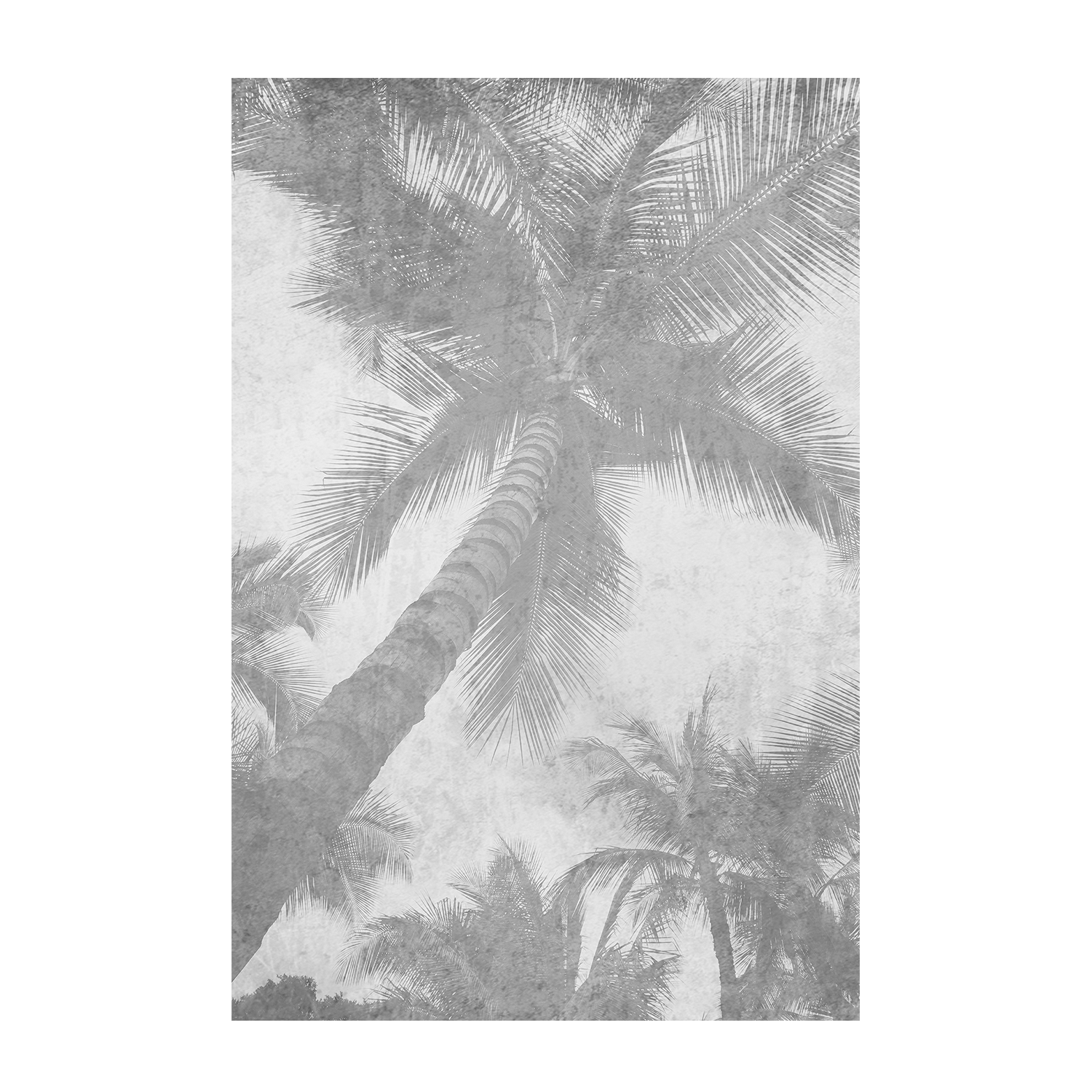 Beachscape Pink Palms, Style A & B, Set Of 2