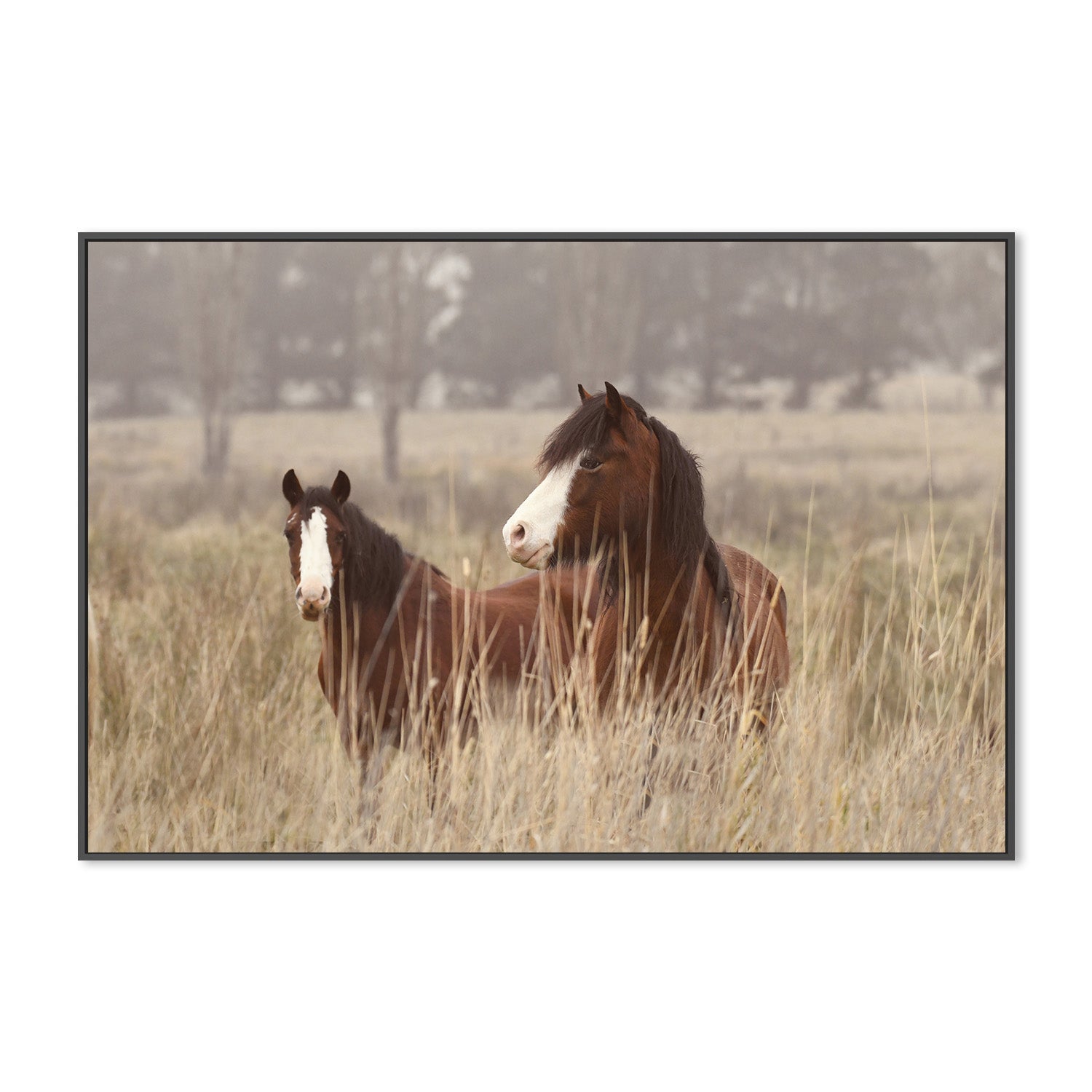 wall-art-print-canvas-poster-framed-Bella And Cookie , By Belinda Gerace-3