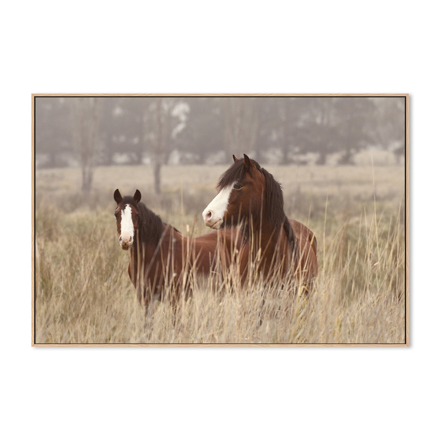 wall-art-print-canvas-poster-framed-Bella And Cookie , By Belinda Gerace-4