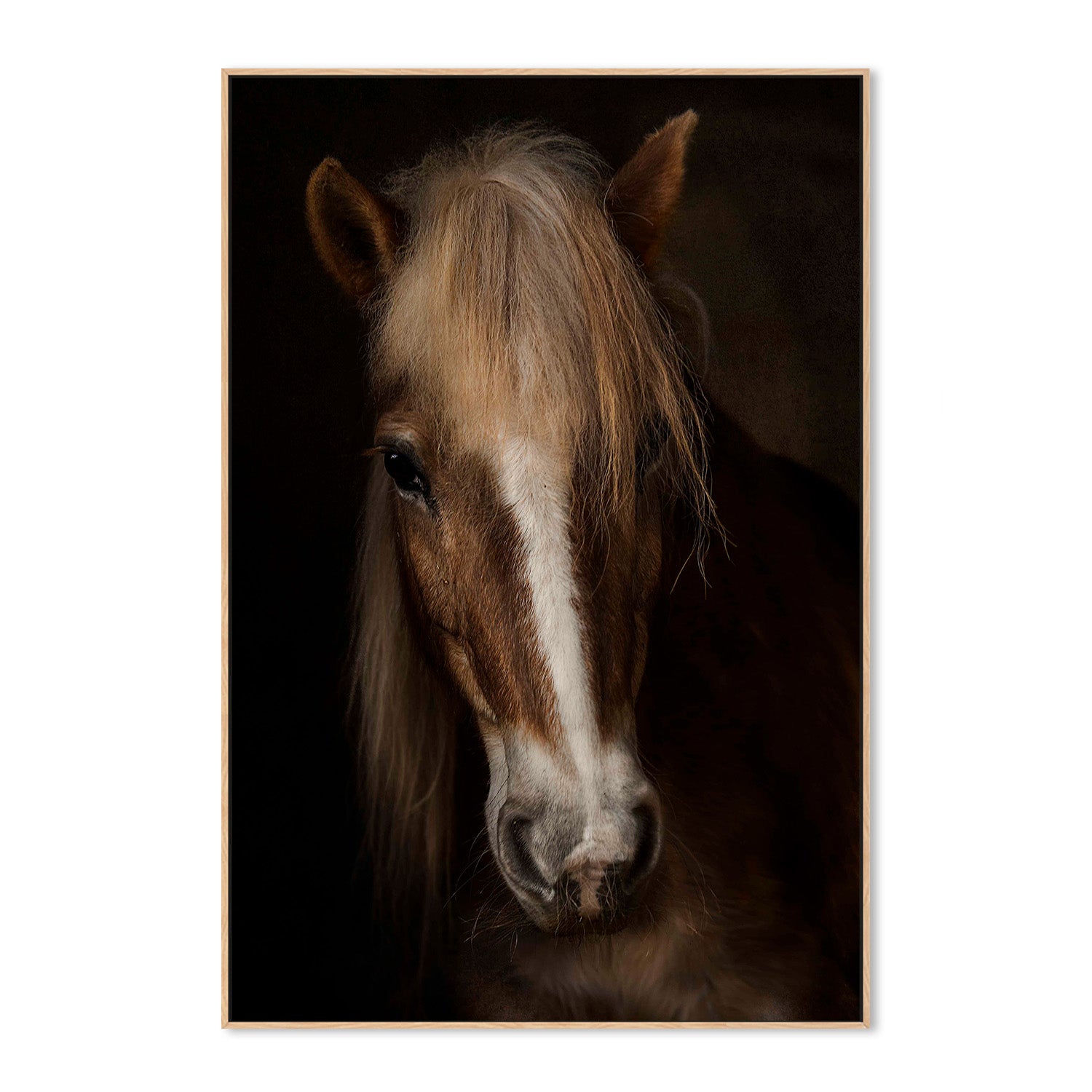 wall-art-print-canvas-poster-framed-Benezech - Sapience-4