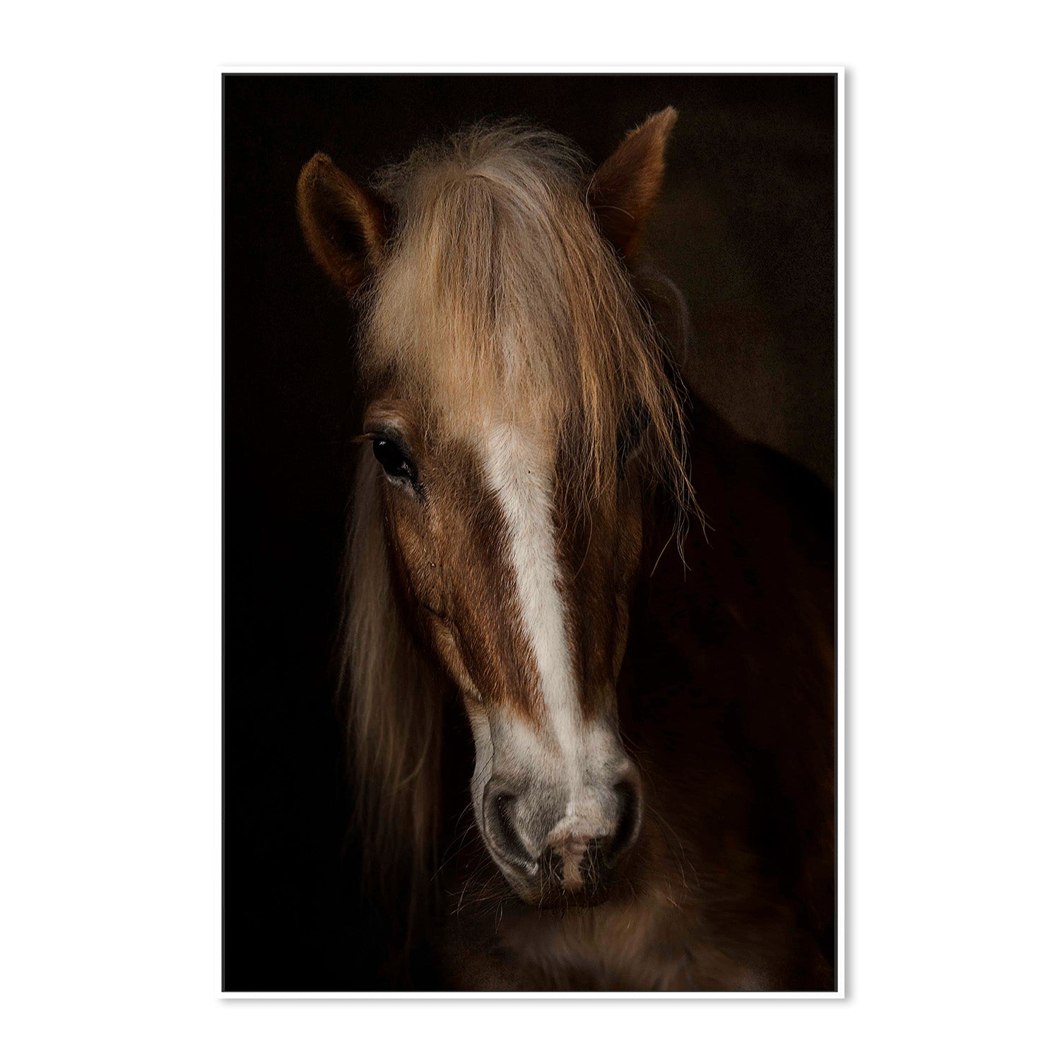 wall-art-print-canvas-poster-framed-Benezech - Sapience-5