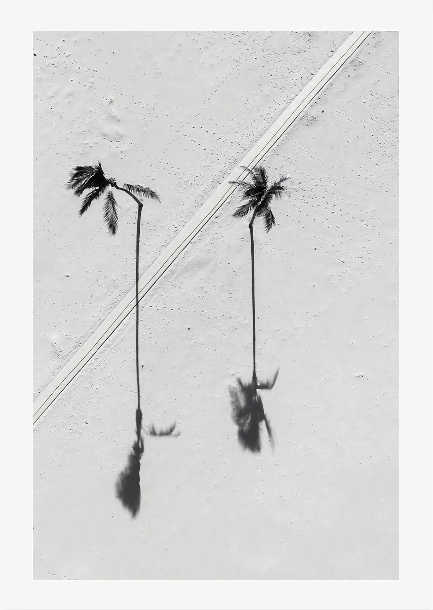 Black Palm , By Max Lissendon