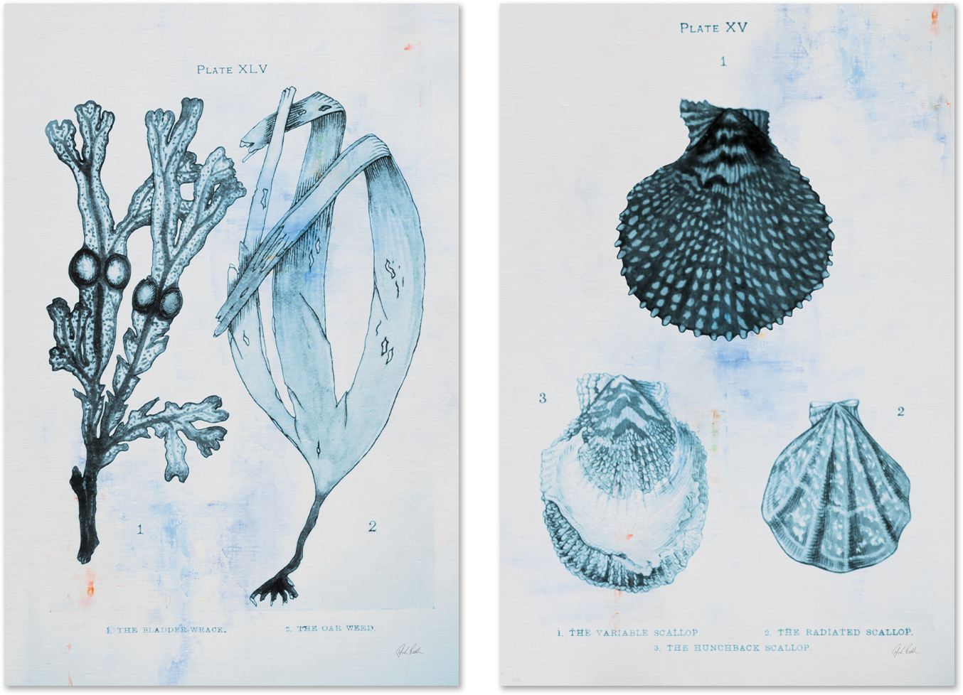 wall-art-print-canvas-poster-framed-Blue Bay, Style A & B, Set Of 2 , By Deborah Revell-1