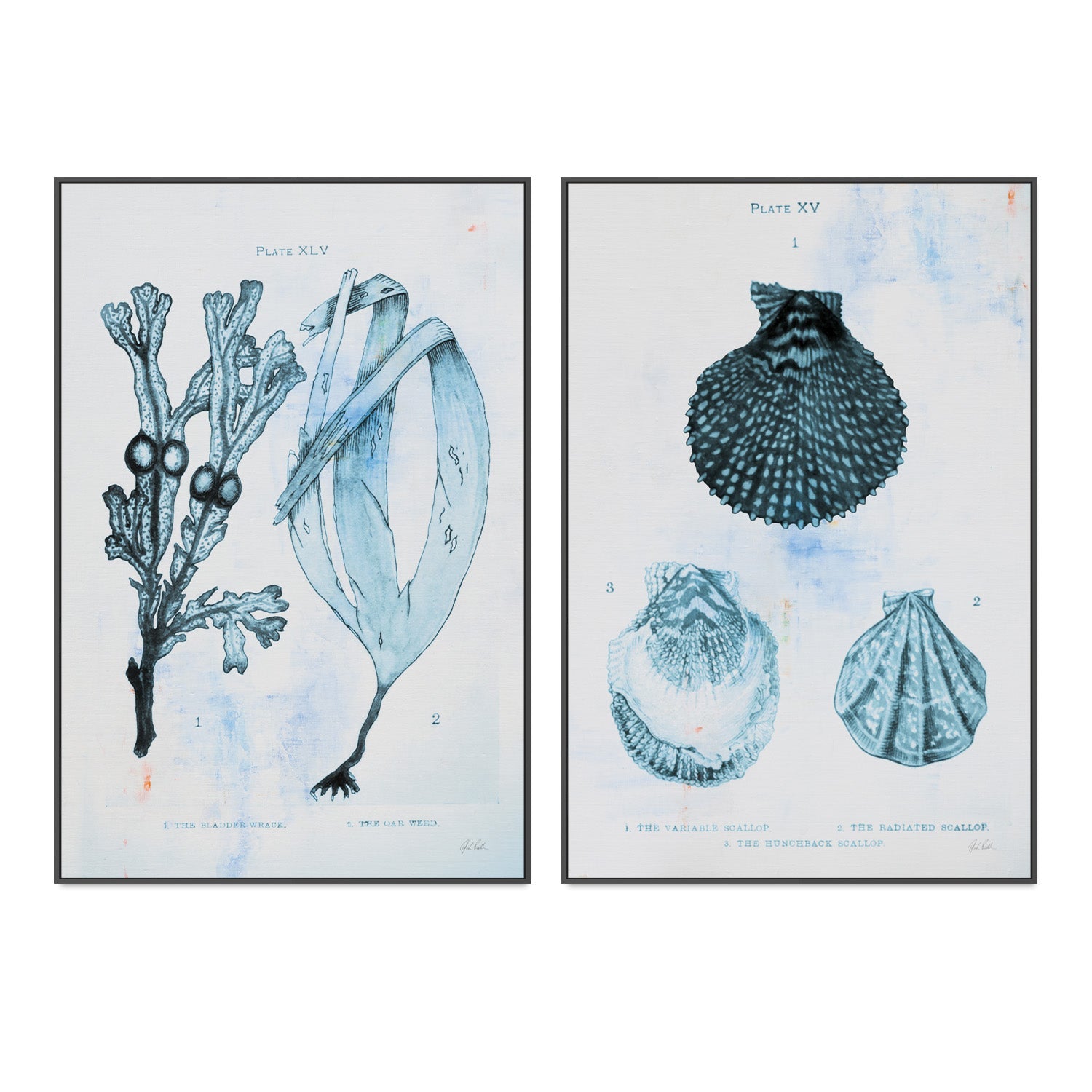 wall-art-print-canvas-poster-framed-Blue Bay, Style A & B, Set Of 2 , By Deborah Revell-3